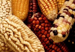 Yet another super food.