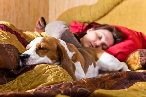 People do love dogs.