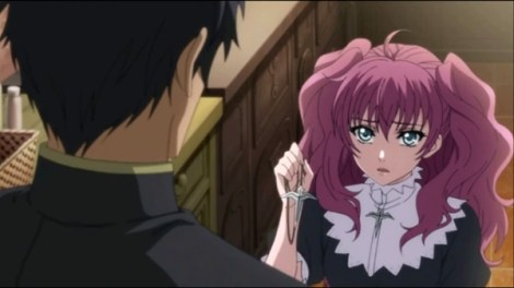 Hakkenden-2013-image