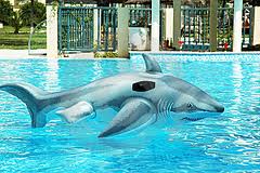 Nine times out of ten, the shark is fake.