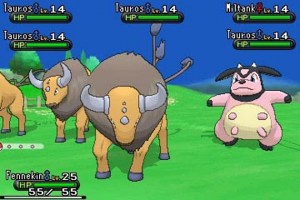 This is kind of interesting.