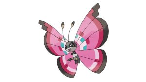 Hello starting bug-type.