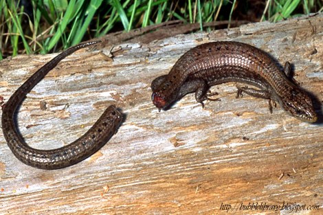 That is freaky stuff.